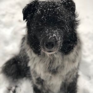 Meet your Posher, Jukie